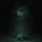 DarkDoge367
