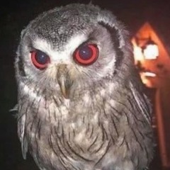 Degwaup