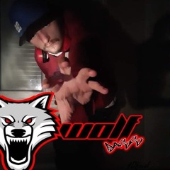 🐺_WB3_🛡
