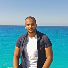 Mohamed H. Allam