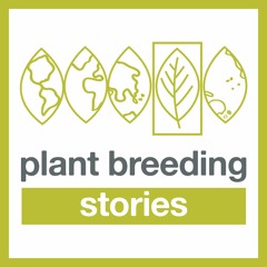 S3E3  Plant Breeding Stories - Mark Messmer