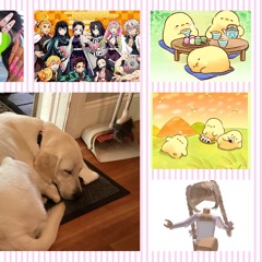 Anime/duck lover/roblox lover