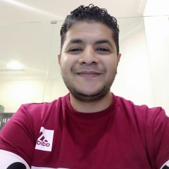 Ahmed Abdelhady 14