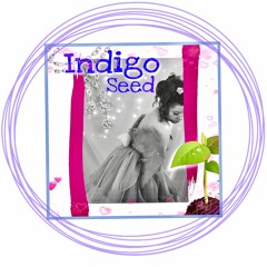Indigo Seed