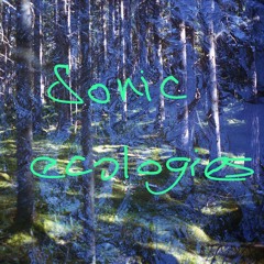 sonic ecologies