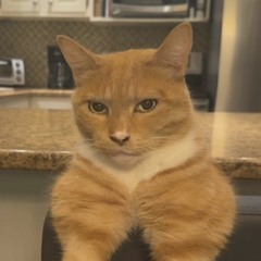 Denny