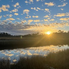 SwampNight1.2