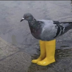 IMØ