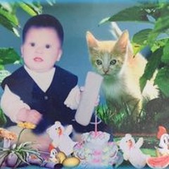 Vũ Đình Nam