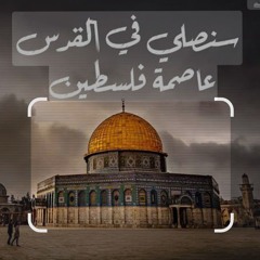 فوزية ابو سيف