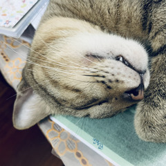 Catoliver2525