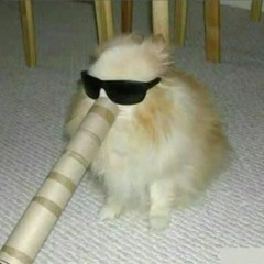 rkxd²