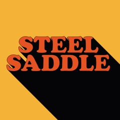 Steel Saddle