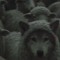 OURA2.0