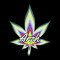ARZH