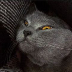 kotobaza