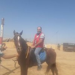 عمرو عدلى أبو دفان