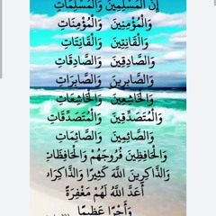 ALI HATEM