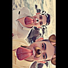 Bassem Bibo