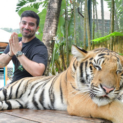 money 008613625750802