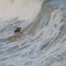 Sandro FreeSurfer
