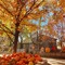 autumn princess