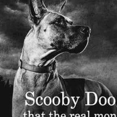 Mortal angrydog Combat