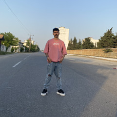 amir arsalan