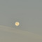 clandestino_1