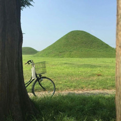 rest in the shade