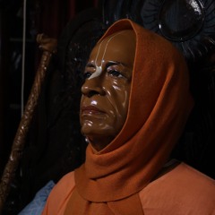Neeraj Acharya