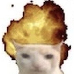 -charlott3- ¡¡I give back follows!!