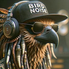 Bird Noise - Pop Ups - Vol. 1 - 21 Savage, Artemis, Arche, Andy Sherman, Afterman, Yvvan Back, Bag Raiders