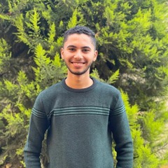 Ahmed Tawfic