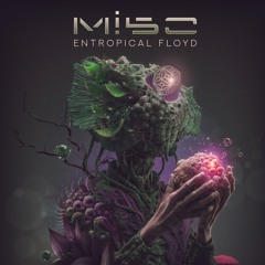 Mi5o