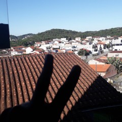 Dinho zs