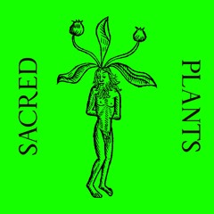 Sacred Plants