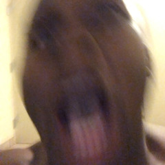 ibkream