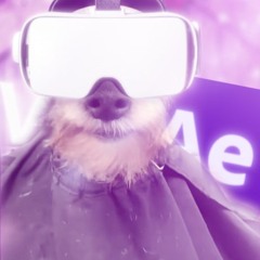 vaspy