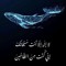 Areej Alamry