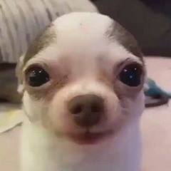 kyoshart