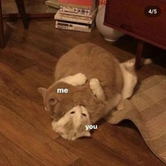 RyvvChan