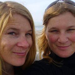 The Wahlin Collective