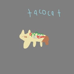 tacocat
