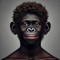 Mr_fire_lil monkey