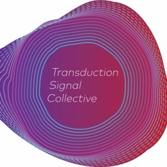 Transduction Signal