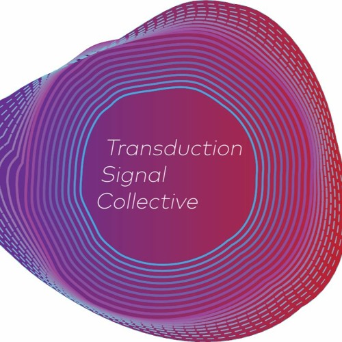 Transduction Signal’s avatar