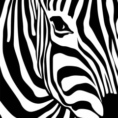 Dandy Zebra