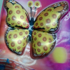 mariamwael11@gmil.com