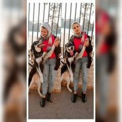 Habiba Elabany